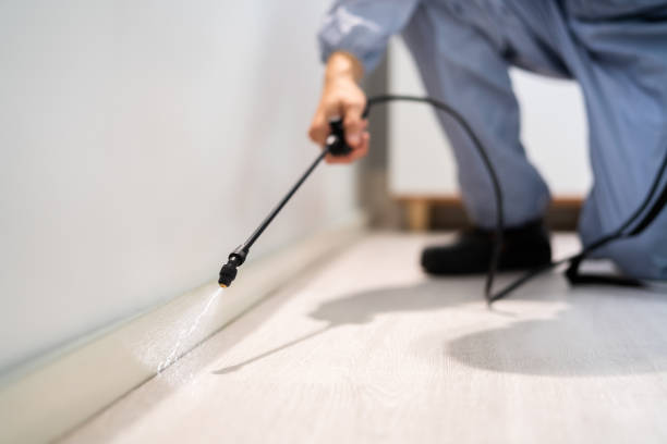 Pest Prevention Services in Rohnert Park, CA