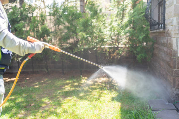 Best Rat Extermination Near Me  in Rohnert Park, CA