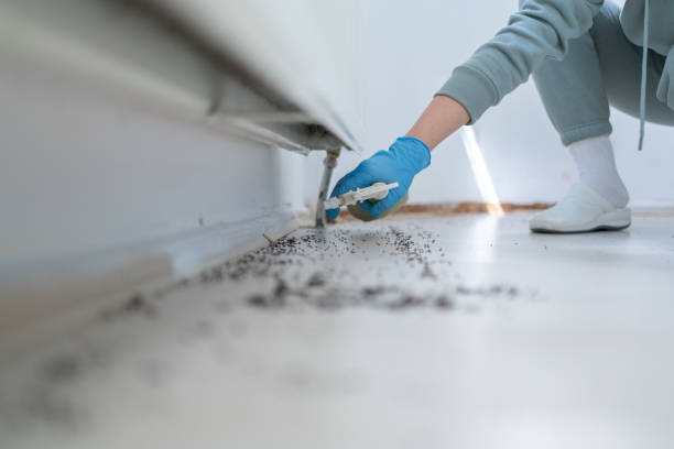 Best Mosquito Control Services  in Rohnert Park, CA
