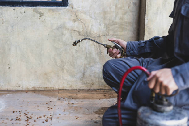 Best Pest Prevention Services  in Rohnert Park, CA