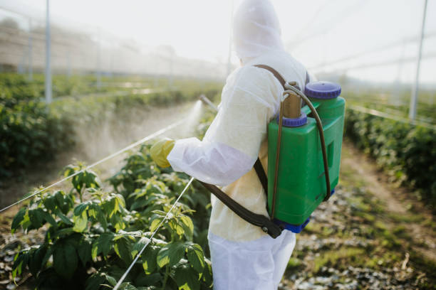Best Emergency Pest Control  in Rohnert Park, CA